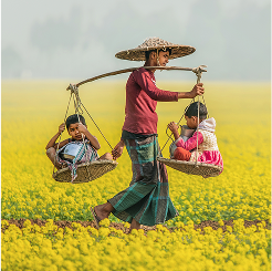 Agriculture & Environment